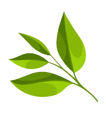 my-logo